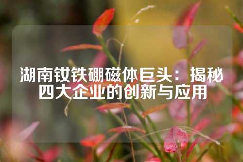 湖南釹鐵硼磁體巨頭:揭秘四大企業(yè)的創(chuàng)新與應(yīng)用