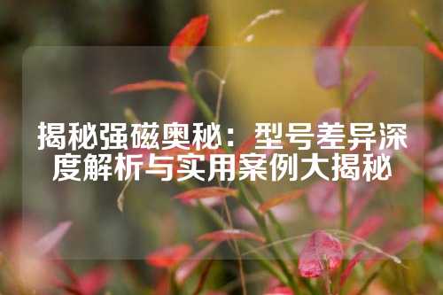 揭秘強磁奧秘:型號差異深度解析與實用案例大揭秘