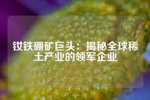 釹鐵硼礦巨頭:揭秘全球稀土產(chǎn)業(yè)的領(lǐng)軍企業(yè)