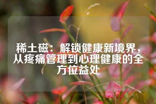 稀土磁:解鎖健康新境界,從疼痛管理到心理健康的全方位益處