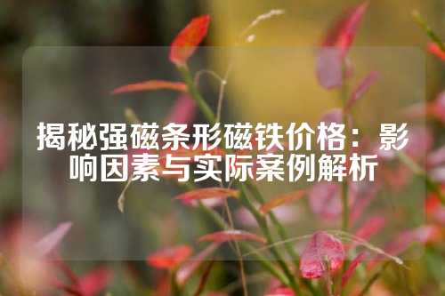 揭秘強磁條形磁鐵價格:影響因素與實際案例解析