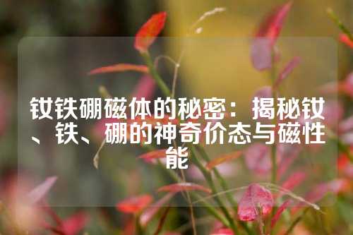 釹鐵硼磁體的秘密：揭秘釹、鐵、硼的神奇價(jià)態(tài)與磁性能