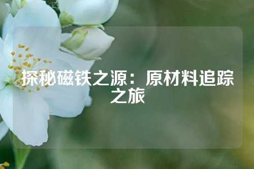 探秘磁鐵之源:原材料追蹤之旅