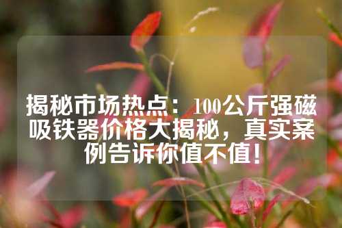 揭秘市場(chǎng)熱點(diǎn)：100公斤強(qiáng)磁吸鐵器價(jià)格大揭秘，真實(shí)案例告訴你值不值！