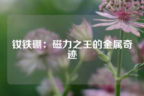 釹鐵硼:磁力之王的金屬奇跡