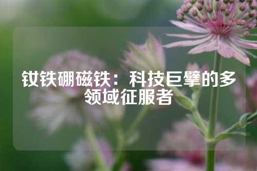 釹鐵硼磁鐵:科技巨擘的多領(lǐng)域征服者