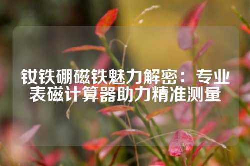 釹鐵硼磁鐵魅力解密：專業(yè)表磁計算器助力精準(zhǔn)測量