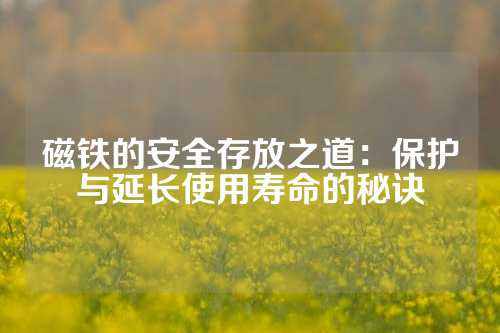 磁鐵的安全存放之道：保護(hù)與延長使用壽命的秘訣
