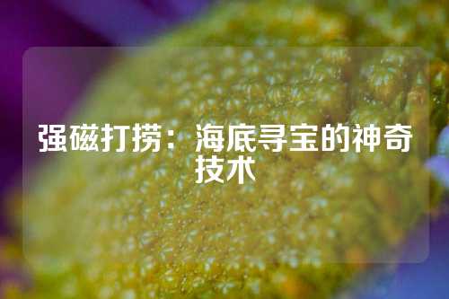 強磁打撈：海底尋寶的神奇技術(shù)