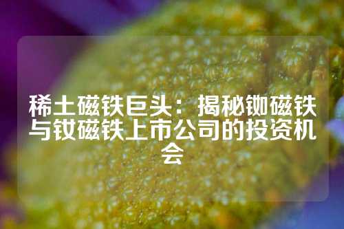 稀土磁鐵巨頭：揭秘銣磁鐵與釹磁鐵上市公司的投資機會