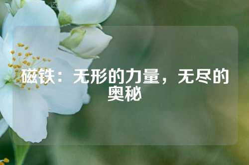磁鐵：無(wú)形的力量，無(wú)盡的奧秘