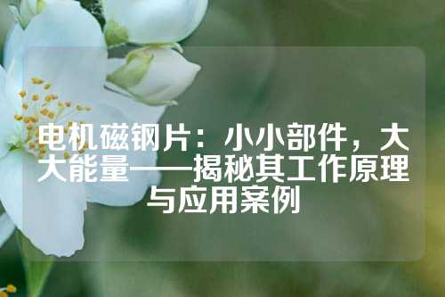 電機(jī)磁鋼片：小小部件，大大能量——揭秘其工作原理與應(yīng)用案例